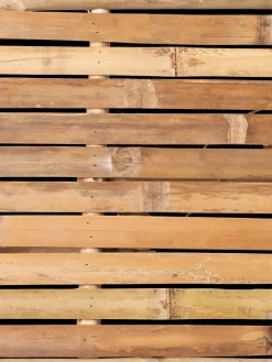 Bank