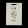 Bio-Rosmarinsamen