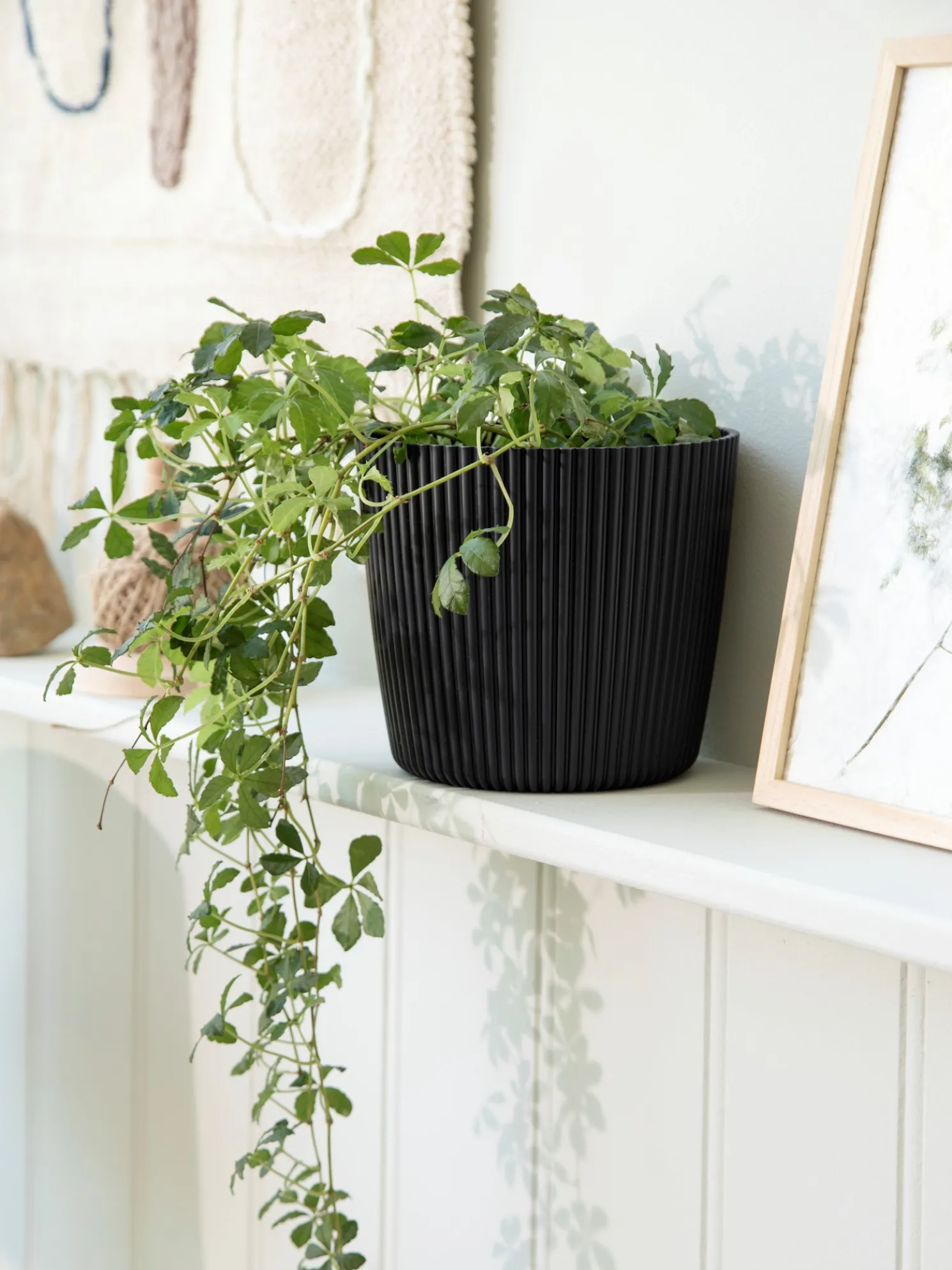 Blumentopf Milly Ø16,9 Cm