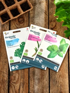 Buzzy® Bio-Salbei