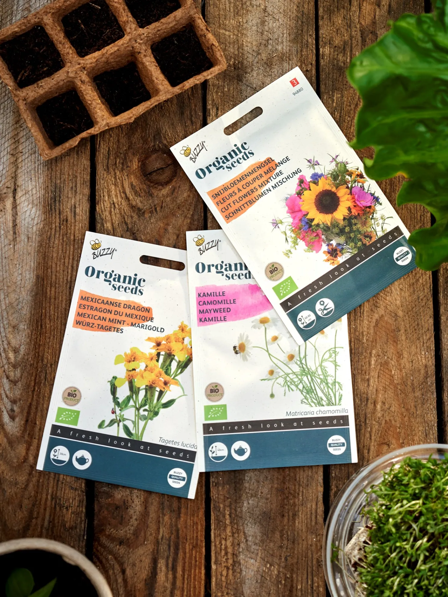 Buzzy® Mexikanische Bio-Samtblume