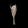 Gemischte Trockenblumen