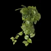 Künstlicher Pothos