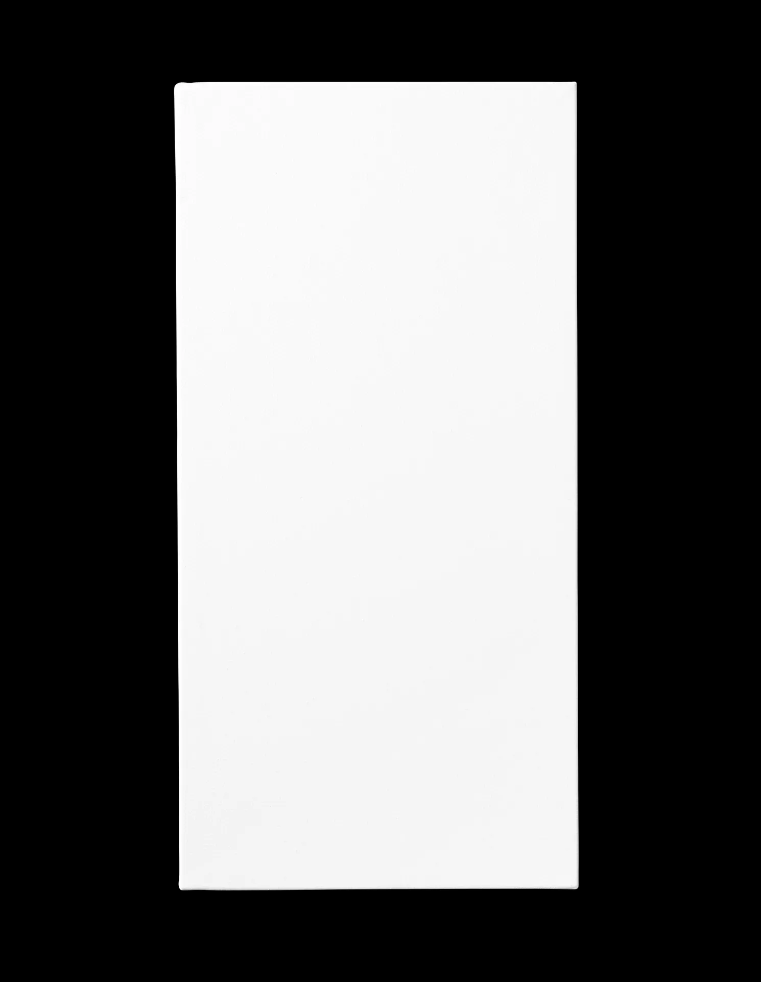 Leinwand 20 X 40