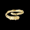 Shiny Twist Ring