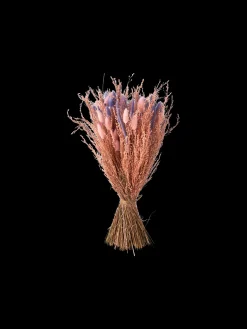 Trockenblumen Rosa Klein