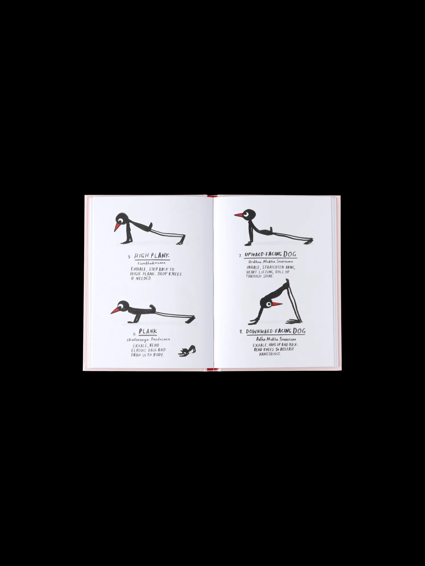 Yoga For Stiff Birds